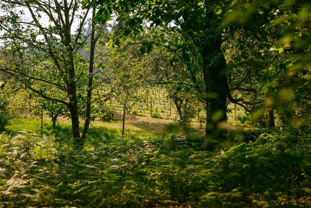 Quinta Da Bouca D'Arques Hotel Vila de Punhe Luaran gambar
